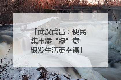 武汉武昌：便民集市添“绿”意 银发生活更幸福